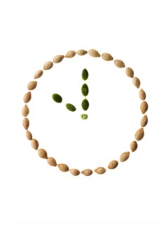 Studio shot of Pumpkin Seeds in shape of clock on white background. Photo : David Arky