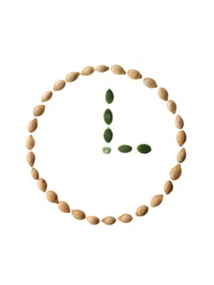 Studio shot of Pumpkin Seeds in shape of clock on white background. Photo : David Arky