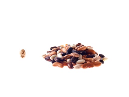 Studio shot of Mixed Seeds on white background. Photo : David Arky