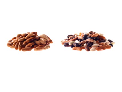 Studio shot of Mixed Seeds on white background. Photo : David Arky