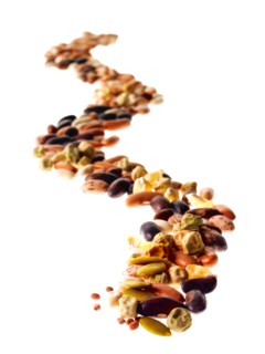 Studio shot of Mixed Seeds on white background. Photo : David Arky