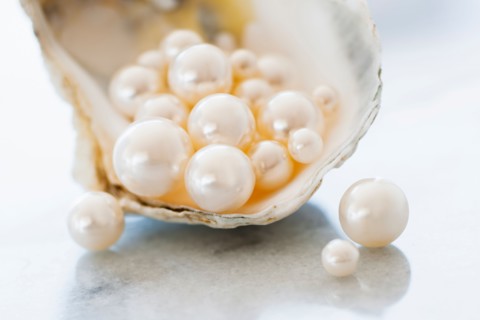 Studio shot of pearls in oyster.