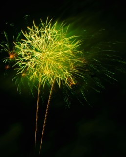 Fireworks explosion against night sky.