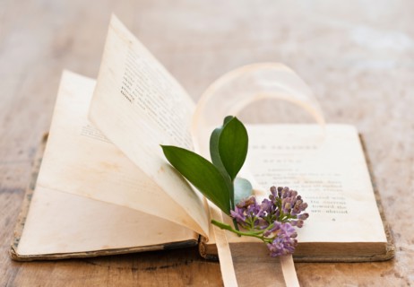Lavender on open book.