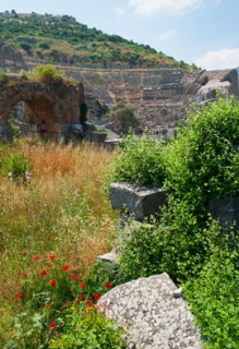 Turkey, Ephesus, Roman amphitheatre.