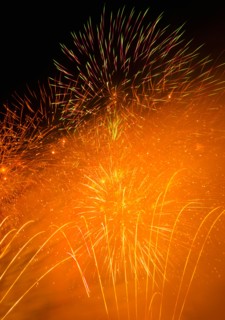 Fireworks explosion against night sky.