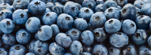 Blueberries.