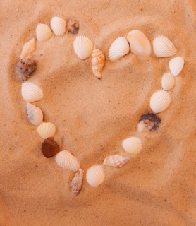 Close up of heart shape made of shells on sand. Photo : Daniel Grill