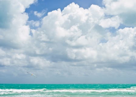 Landscape with sea. Photo: Jamie Grill