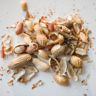 Close up of peanuts. Photo : Jamie Grill