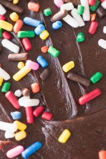 Close up of chocolate cake with sprinkles. Photo : Jamie Grill
