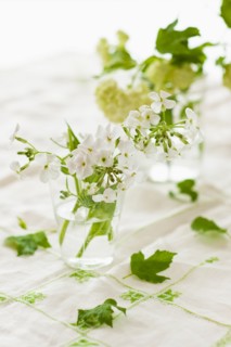 White flowers with green leaves in jars.