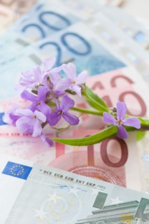 Flowers on European union banknotes.