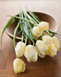 Tulips on bowl.