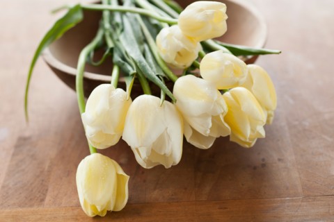Tulips on bowl.