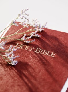 Bible and stem of lavender. Photo : Jamie Grill