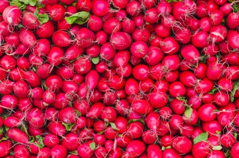 Radishes for sale.