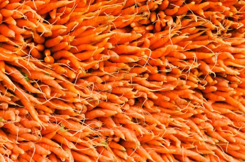 Carrots for sale.