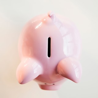 Piggybank, studio shot. Photo: Jamie Grill