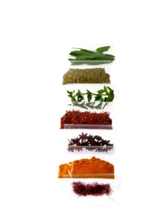Studio shot of row of packets with spices. Photo: David Arky