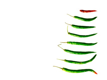 Studio shot of Green and Red Chili Peppers on white background. Photo: David Arky