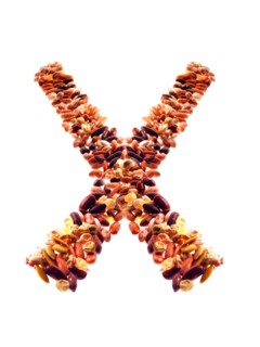 Studio shot of Mixed Seeds on white background. Photo : David Arky