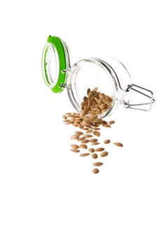 Studio shot of jar with Pumpkin Seeds on white background. Photo : David Arky