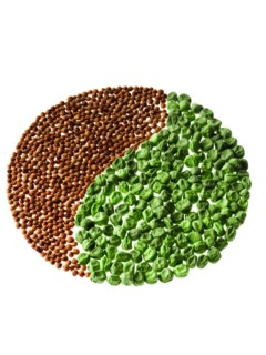 Studio shot of Cardamom Seeds and Pea Seeds making Yin Yang on white background. Photo: David Arky
