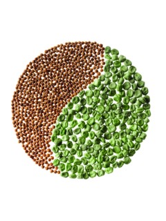 Studio shot of Cardamom Seeds and Pea Seeds making Yin Yang on white background. Photo: David Arky