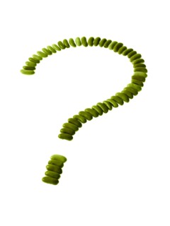 Studio shot of Bean Seeds making Question Mark on white background. Photo: David Arky