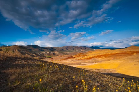USA, Oregon, Mitchell, Painted Hills at day. Photo: Gary J Weathers