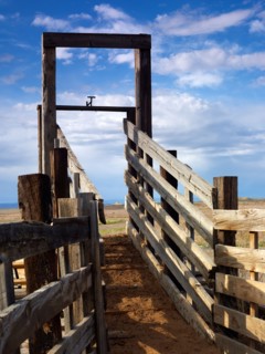 USA, Utah, Wooden fence on ranch. Photo : John Kelly