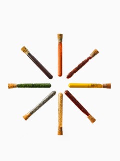 Studio shot of Test Tubes making Circle shape on white background. Photo : David Arky