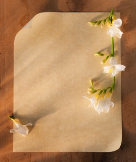 Close up of plank page of antique love letter with flowers. Photo : Daniel Grill