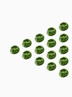 Studio shot of Pea Seeds on white background. Photo : David Arky
