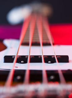 Close up of strings of bass guitar. Photo : Daniel Grill