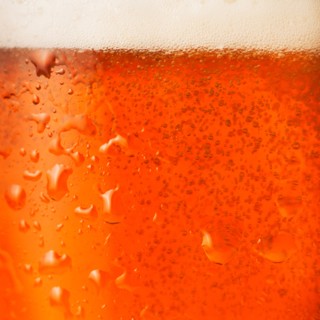 Close-up of lager in glass.