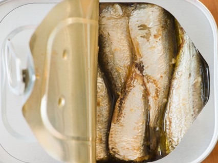 Close up of sardines in can. Photo : Jamie Grill