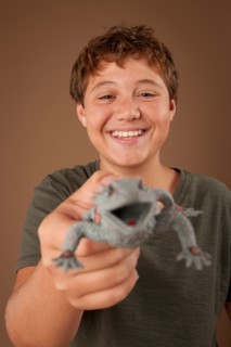 Studio portrait of boy (12-13) holding plastic animal. Photo : Rob Lewine