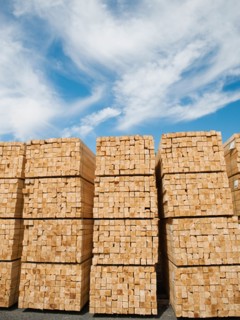 Orderly stacks of timber. Photo: Erik Isakson