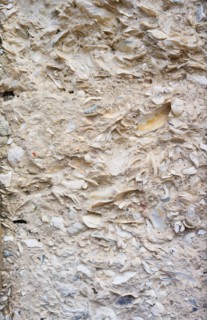 USA, Georgia, Savannah, Close up of old wall.