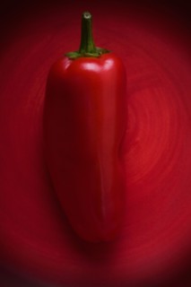 Studio shot of red chili pepper. Photo: Kristin Lee