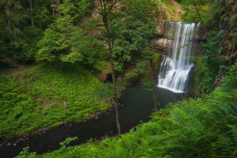 USA, Oregon, Silver Falls State Park, Lower South Falls. Photo : Gary J Weathers