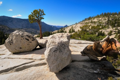 USA, California, Tioga Pass, Granite boulders. Photo : Gary J Weathers