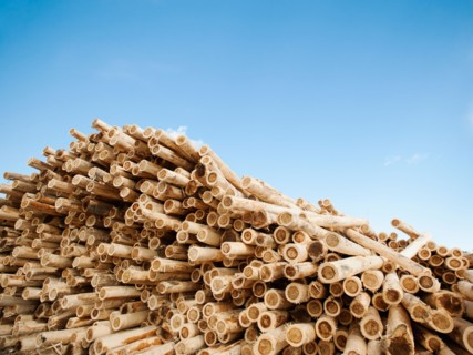 Stack of timber against blue sky.