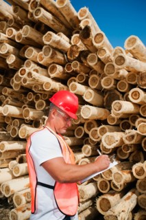 Engineer in front of stack of timber.