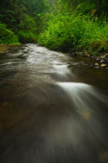 USA, Oregon, Silver Falls State Park, Silver Creek. Photo : Gary J Weathers