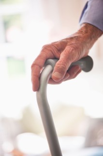 Wrinkled hand holding walking stick.