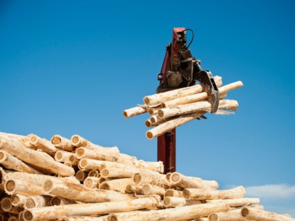 Crane loading timber against blue sky.
