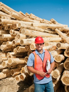Engineer in front of stack of timber.